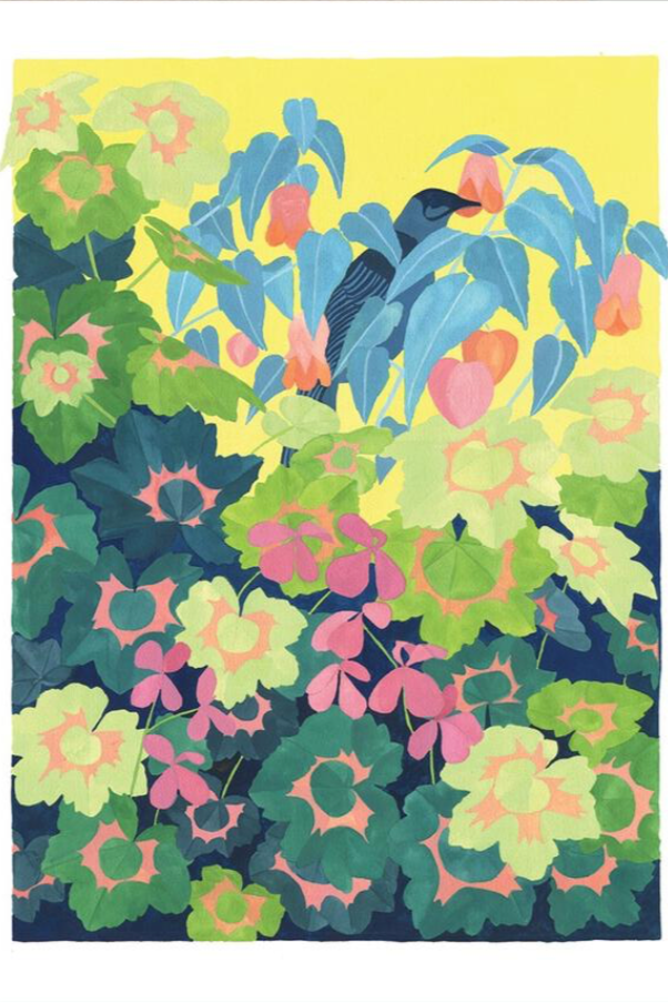 A close of the Wattle Bird card showing the intricate line and color work of the plant leaves.
