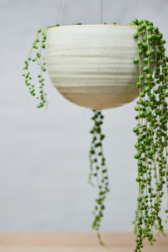 Spherical Hanging Planter
Creamy White Speckle
by Angus & Celeste potted with a string of pearls plant.