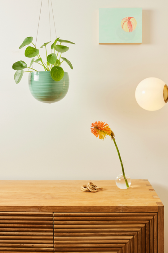 Spherical Hanging Planter
Celadon Green Crackle
hanging above a wooden credenza with a Pilea plant potted inside the pot.
