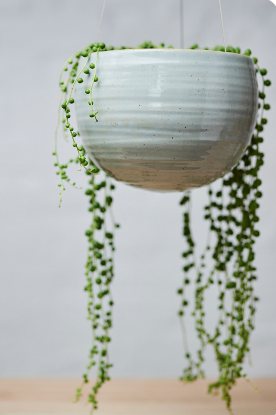 Spherical Hanging Planter
Grey Crackle by Angus & Celeste potted with a string of pearls plant