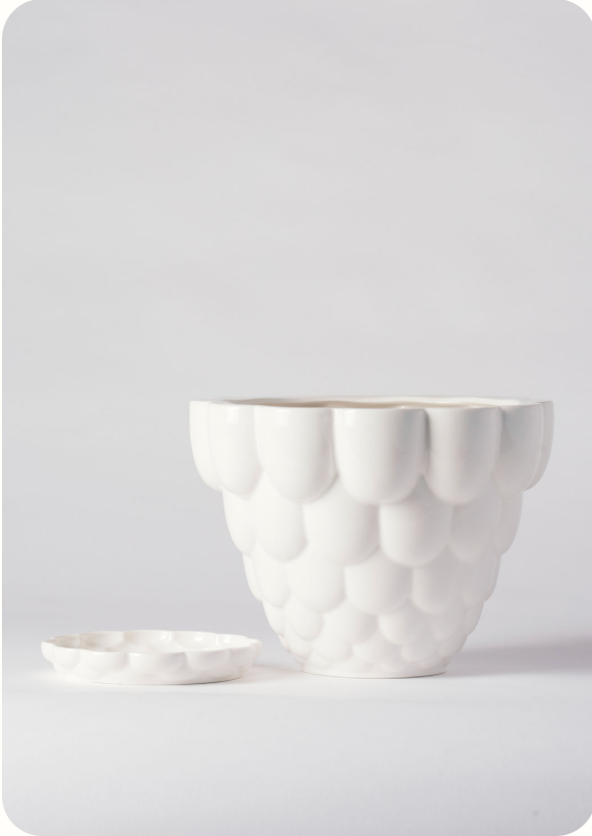 A white Jelly Planter by Angus & Celeste shown with its detachable saucer to the side of the pot.