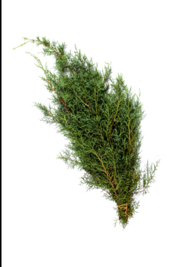 a bunch of Carolina Sapphire greens ©Clesen Wholesale