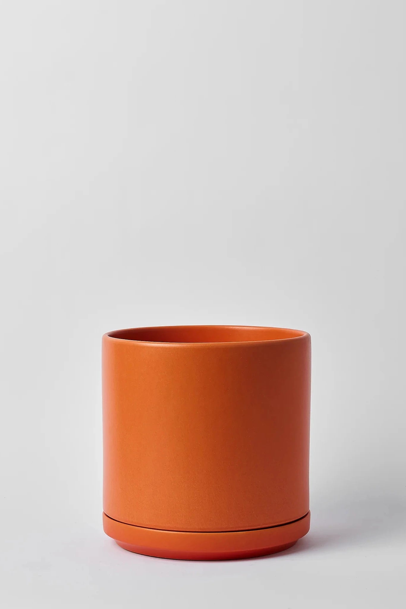 塊根植物・コーデックス The Landscapers DRY CYLINDER Solid Goods 12