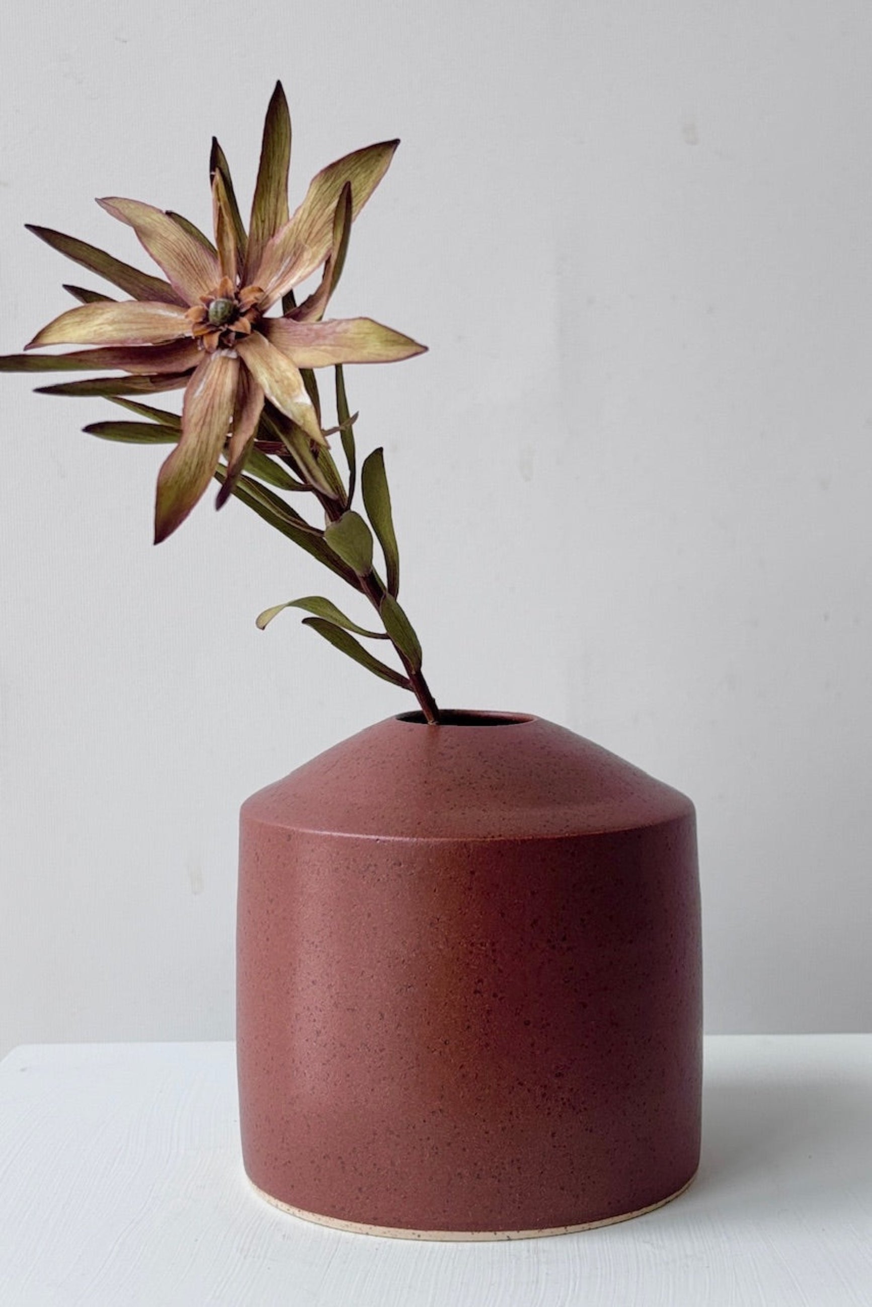 Chocolate speckled siros vase with flower against a white wall ©Sprout Home