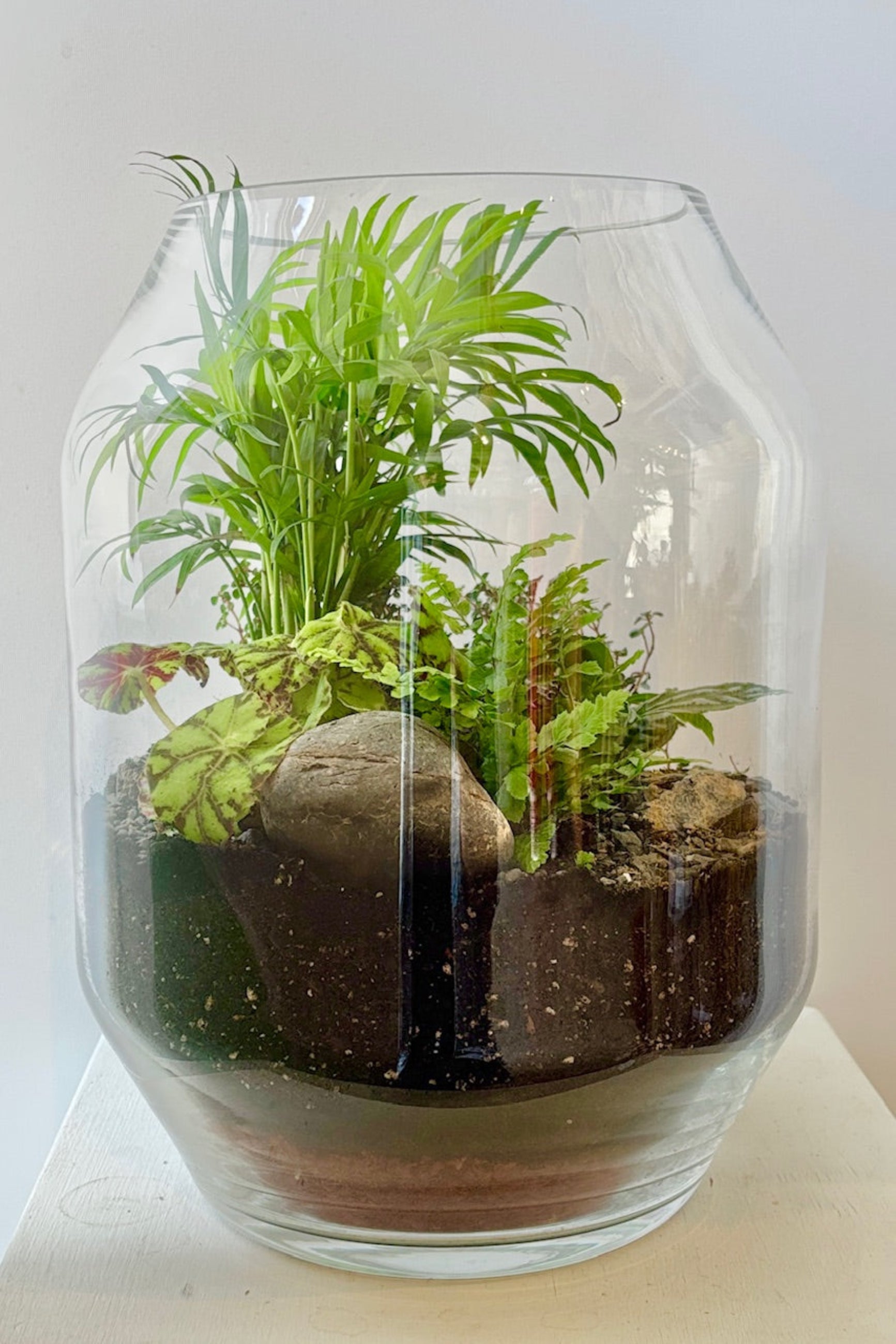 Dali small terrarium with foliage inside a clear glass container on a white surface ©Sprout Home #style_foliage
