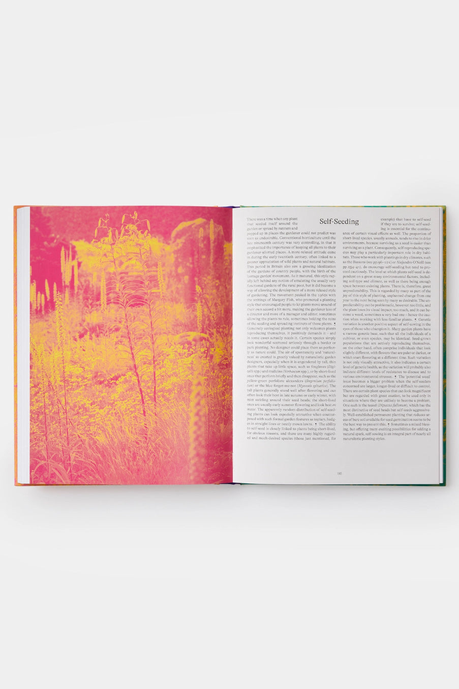Open Wild: the Naturalistic Garden book with a colorful nature illustration on the left page and text on the right page. ©Phaidon