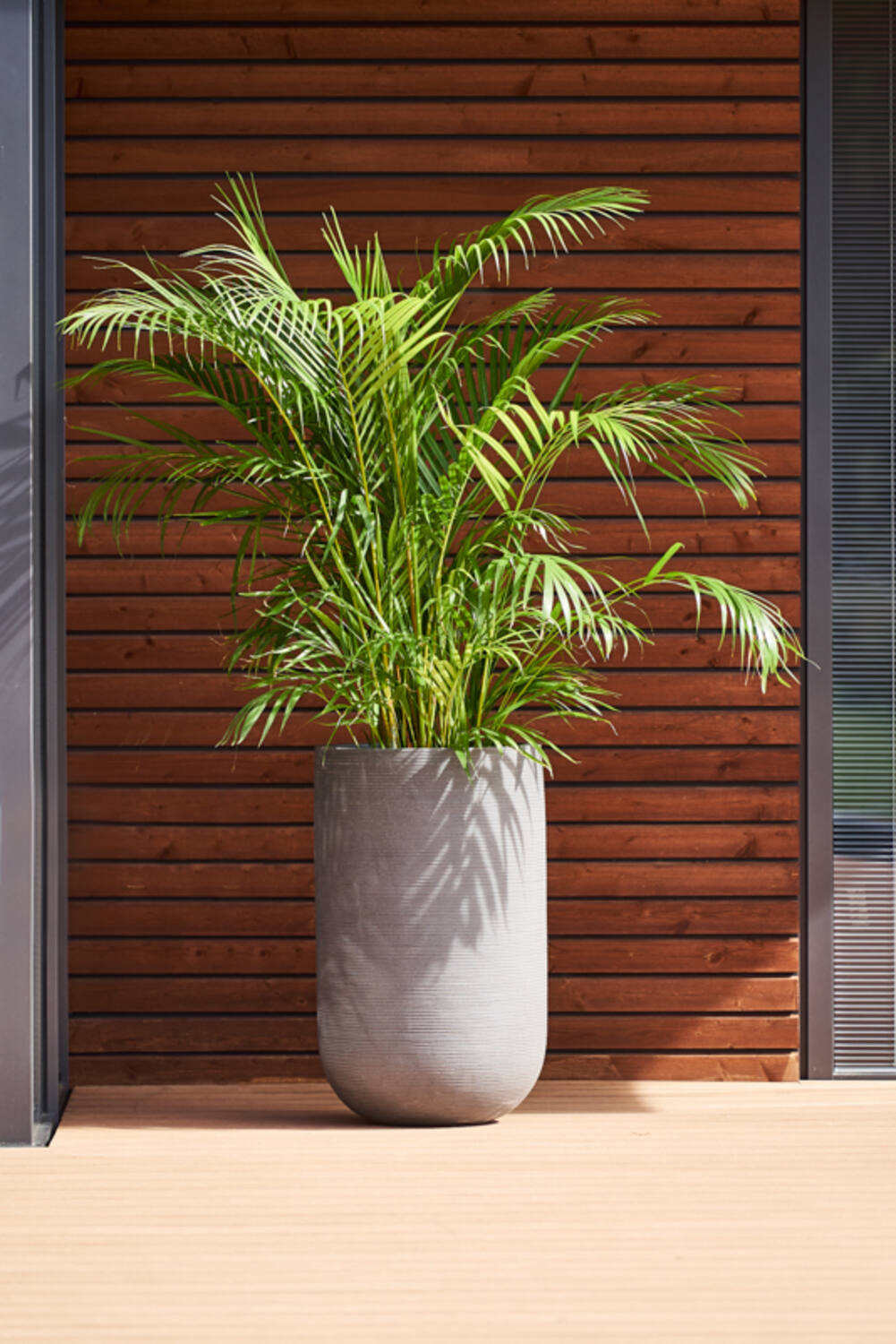 Pottery Pots Cody High Pot in Light Grey with horizontal Ridges potted with a palm outside against a warm wood slatted wall.