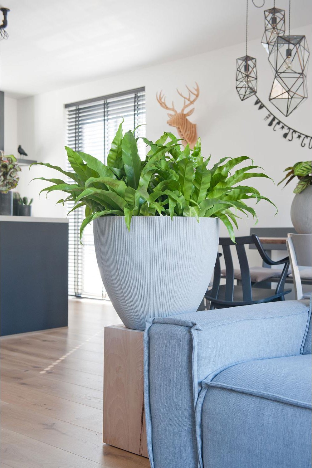 Pottery Pots light grey Vertical Ridged Pot with a fern potted inside on a side table next to a blue sofa in a room by Pottery Pots