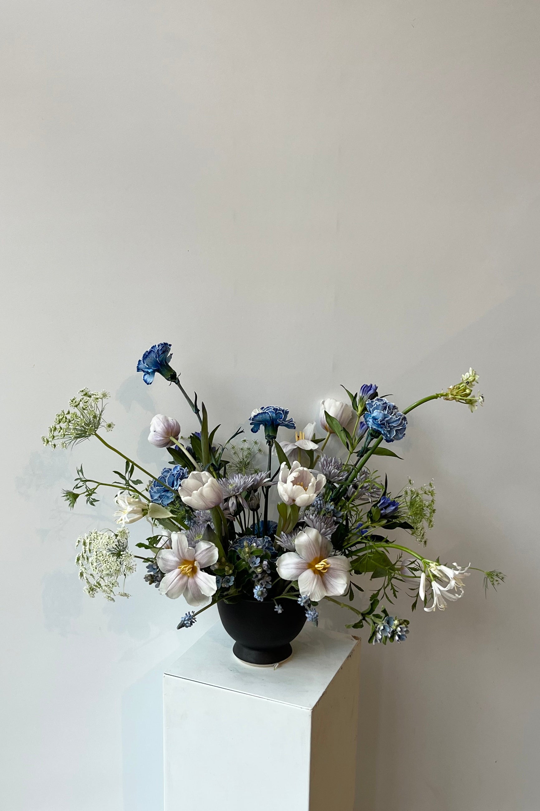 A custom Blue Valentines arrangement by Sprout Home in a black compote vase with blue carnations popping up ©Sprout Home #size_$200