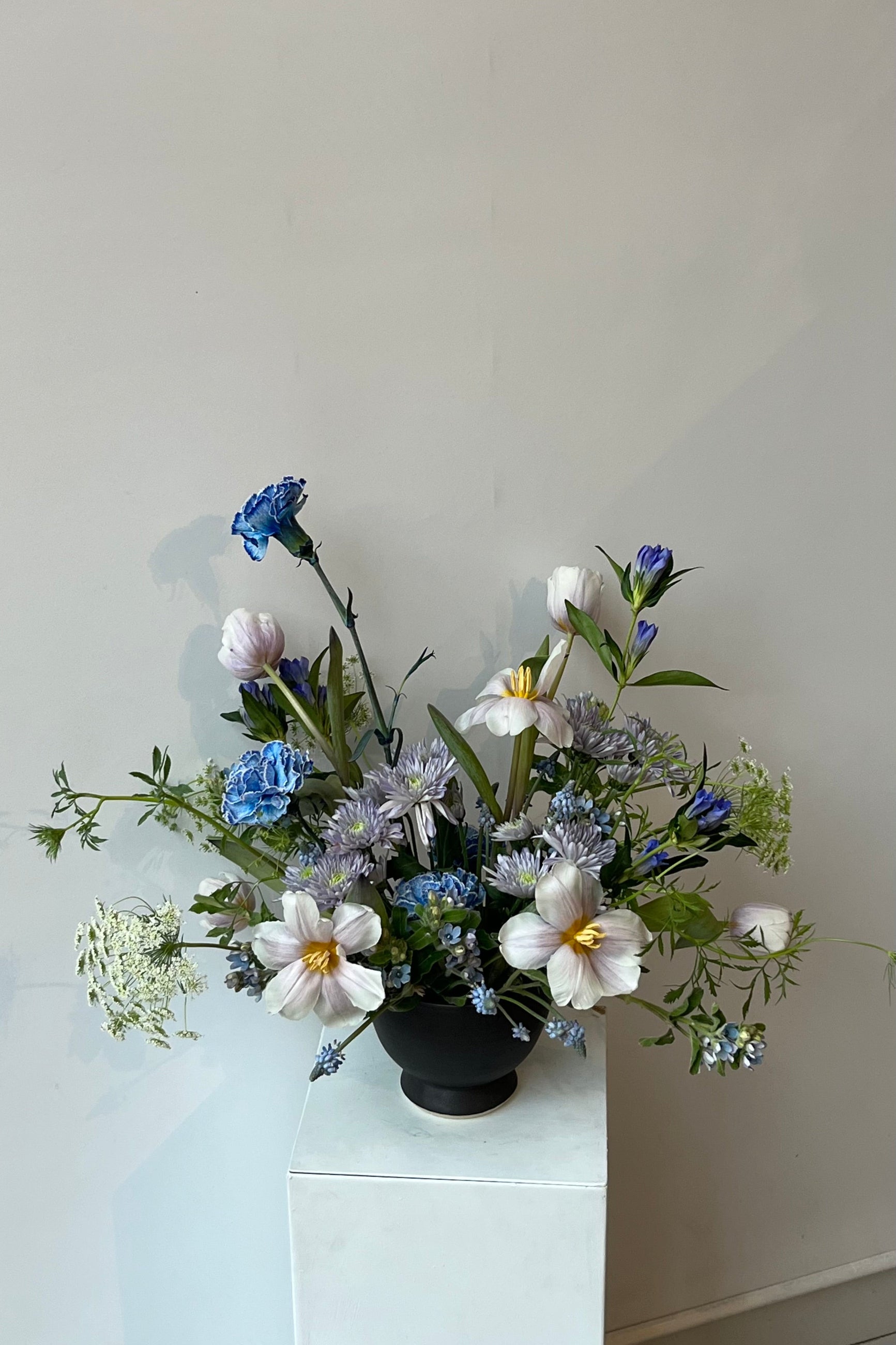 Sprout Home's custom floral arrangement Blue Valentine arrangement in a black vaned with expressed tulips ©Sprout Home #size_$160