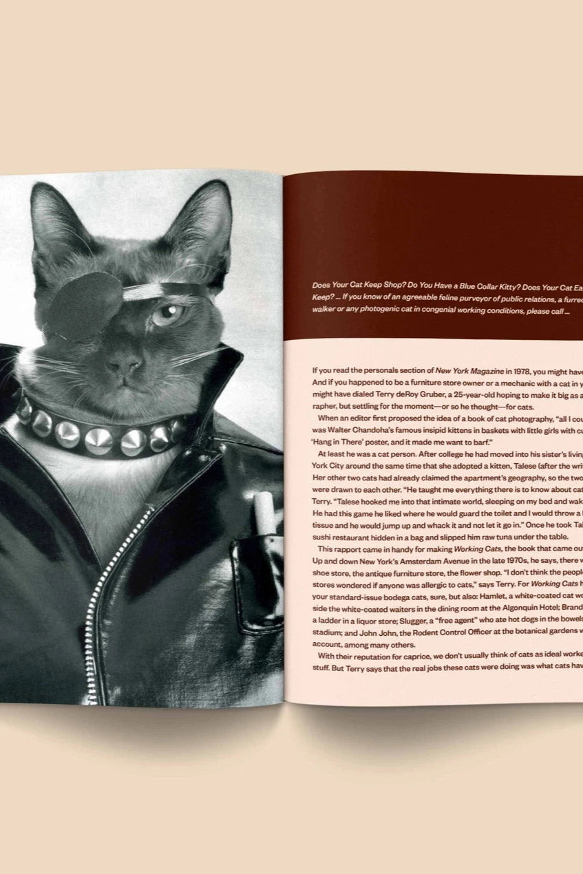 Catnip Magazine showing a page of the interior with a black and white punk cat by Broccoli.
