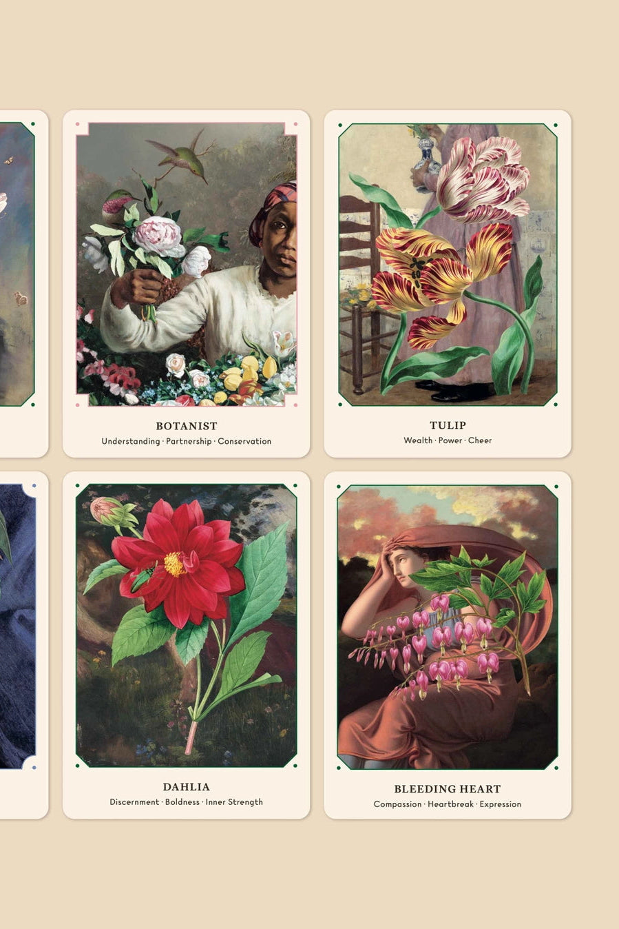 floral-themed cards with illustrations and text on a beige background as part of the Floral Oracle Deck ©Broccoli