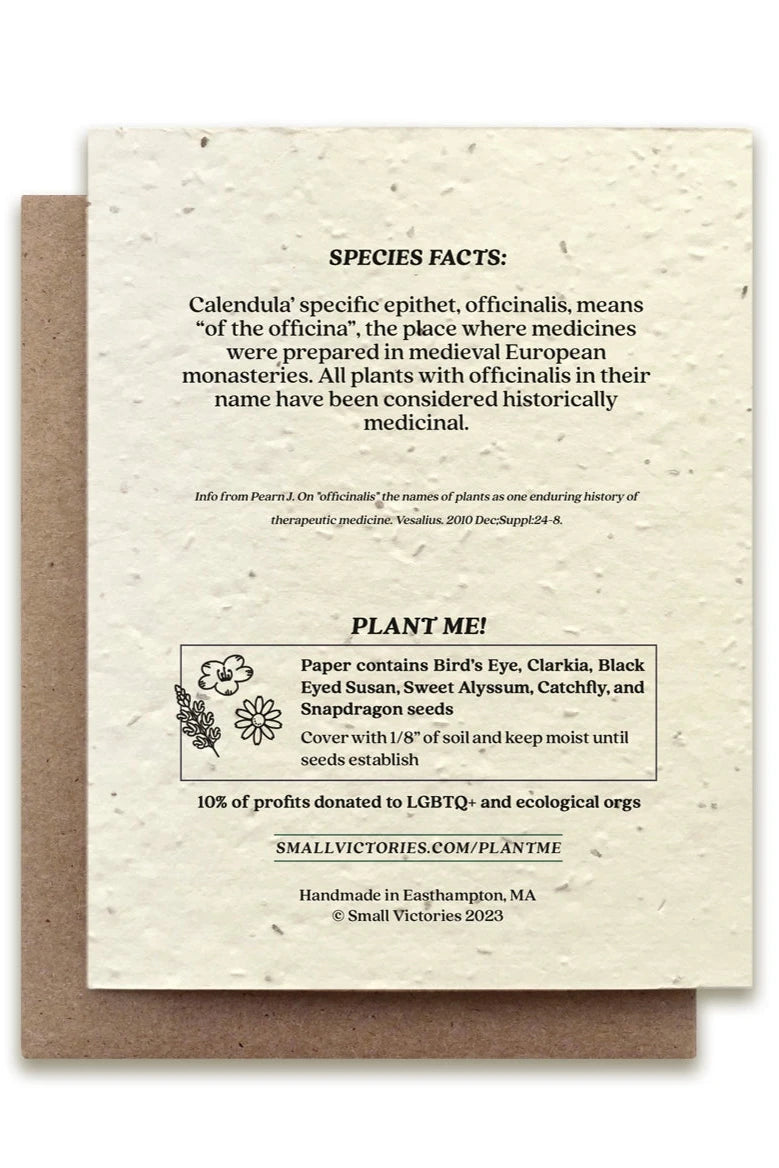 The back of a Calendula plantable card listing the ingredients. ©Small Victories