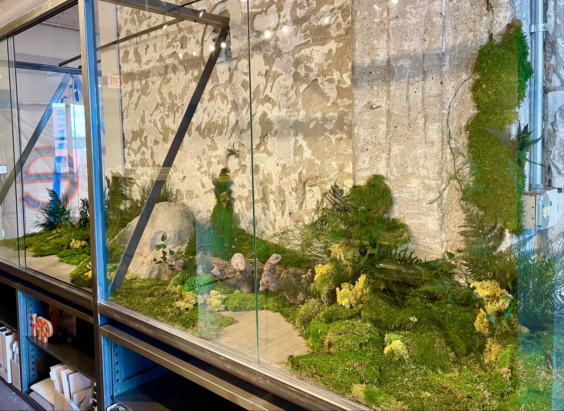 Installation of preserved floral and moss by SPROUT HOME at Carnegie Fabric showroom in Chicago. Photo by Sprout Home.