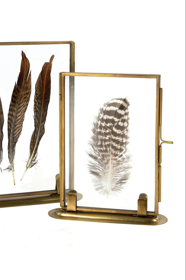 Two gold-framed glass displays with feathers on a white background ©Vagabond Vintage