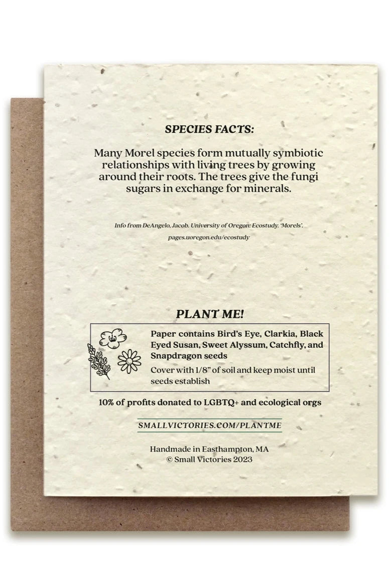 Morel Mushroom Seeded plantable card showing the back with the seed ingredients. ©Small Victories