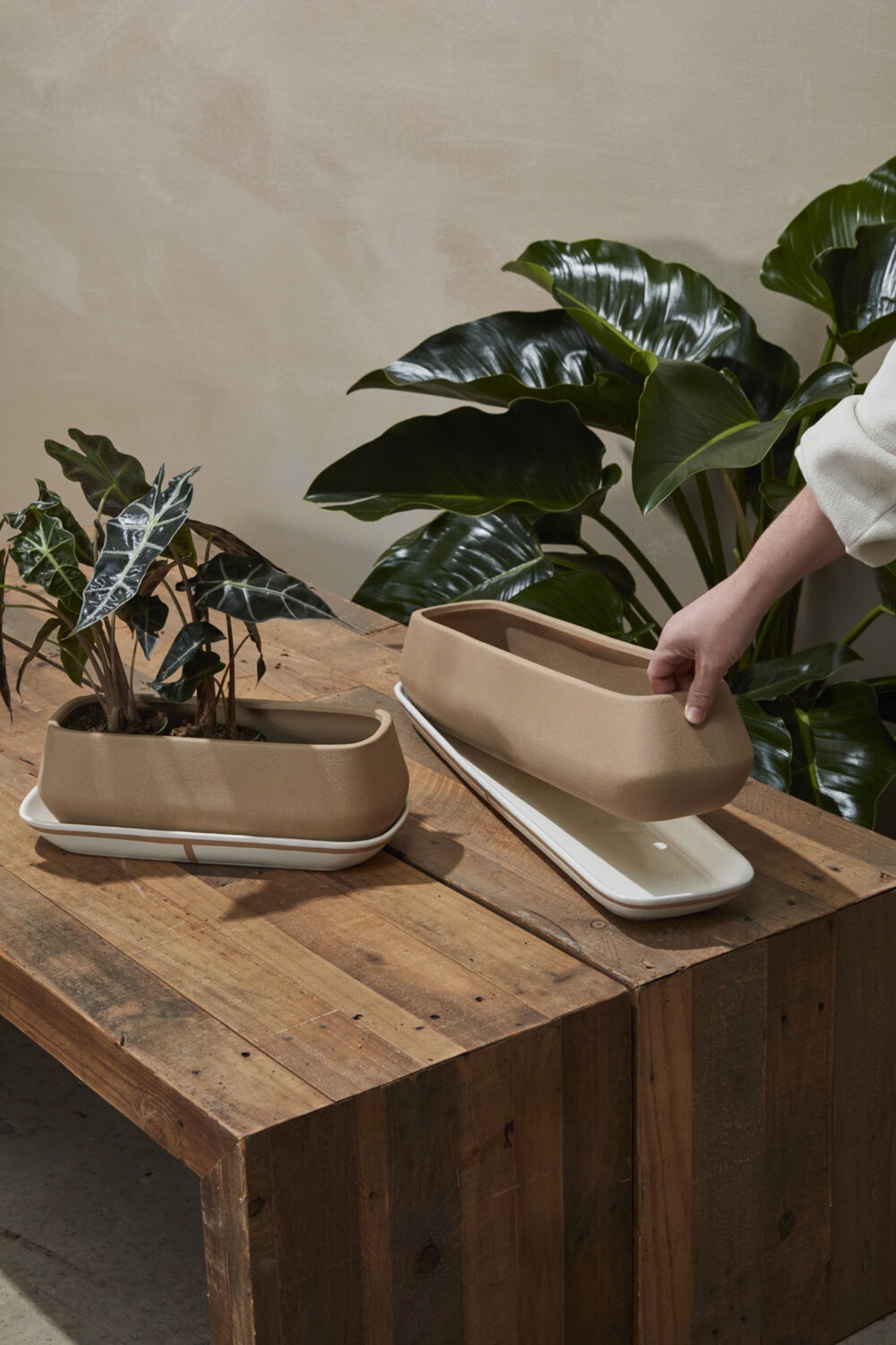 Dublin planters with a person showing how easy it is to lift the planter from the saucer. Both sitting on a wood table with with a large plant in the background.