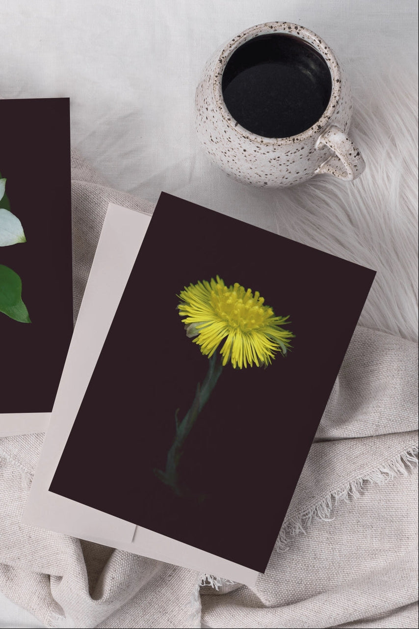 Two cards with floral designs on a textured surface with a cup of coffee. ©Raoul & Simone