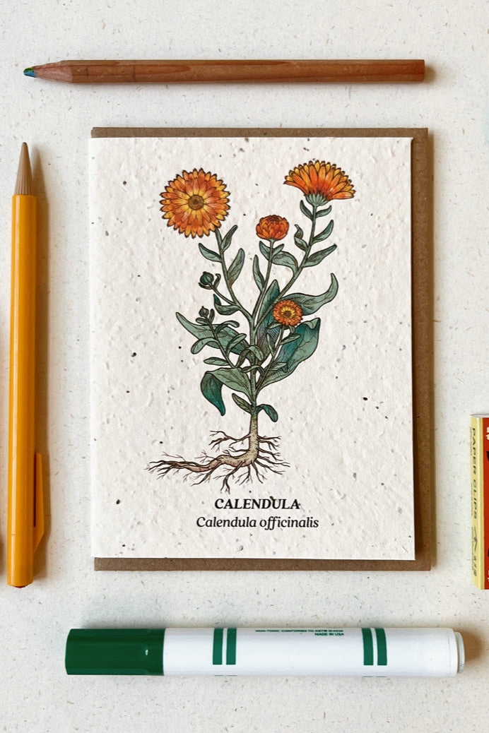 The Calendula planted card framed by writing utensils laying flat ©Small Victories