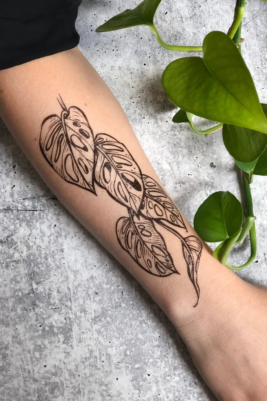 Tattoo of monstera leaves on a person's arm with a green leaf in the background. ©Nature Tats