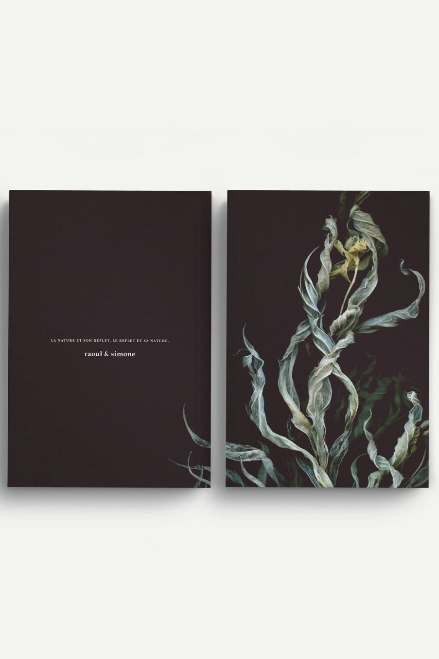 Fantome Notebook with text and botanical illustration on a dark background ©Raoul & Simone
