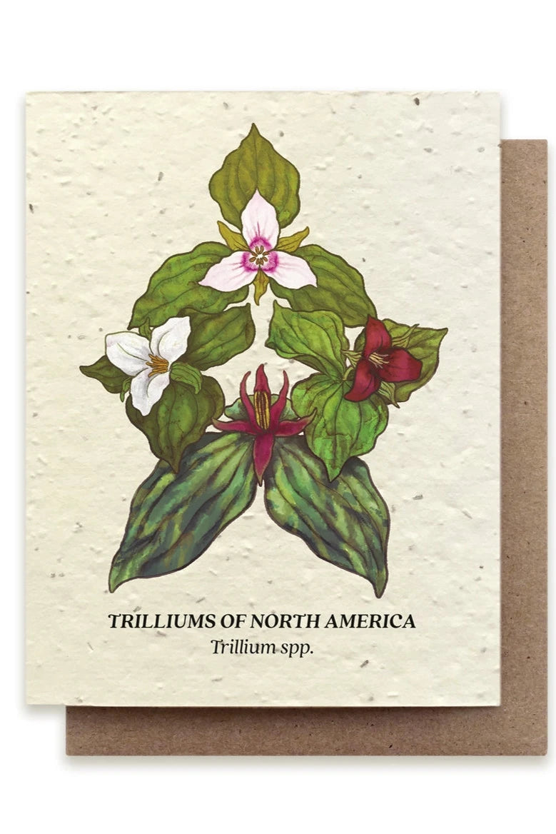 Trillium Compass seeded card showing the front with the red and white illustrations of the flowers.