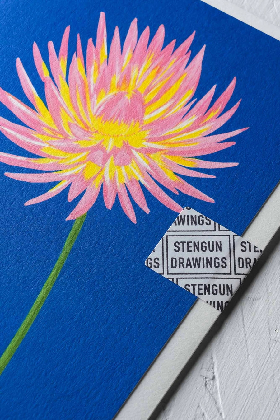 Cactus Dahlia Greeting Card placed on a textured white surface. ©Stengun Drawings