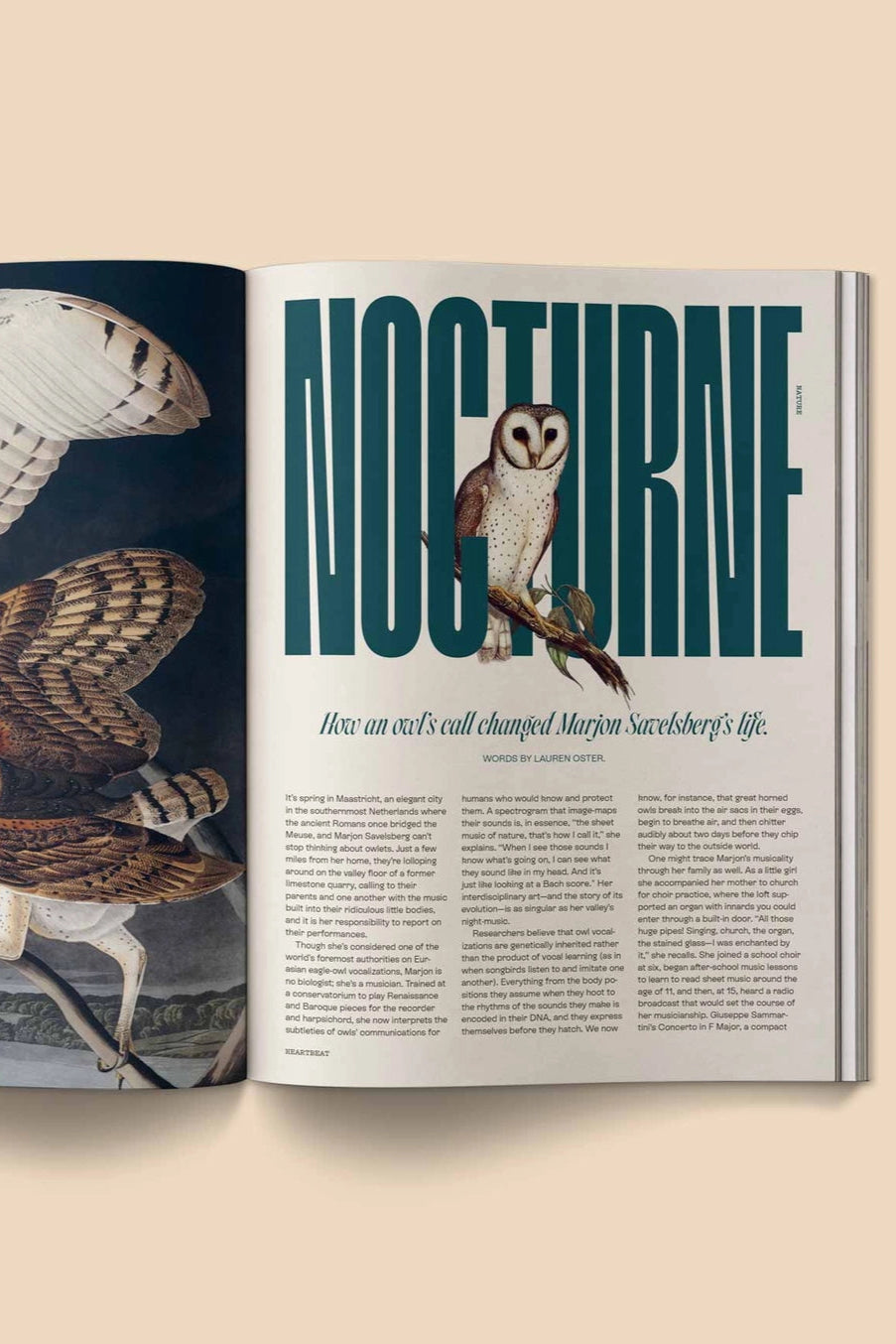 Heartbeat Magazine: Music, Sound, Emotion Open magazine with illustrations of owls and the word 'Nocturne' on a beige background ©Broccoli