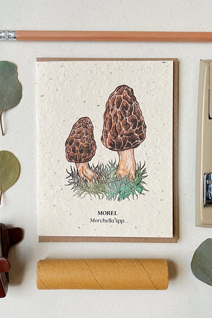 Morel Mushroom Seeded plantable card showing the front of the card laying flat with various desk items surrounding. ©Small Victories