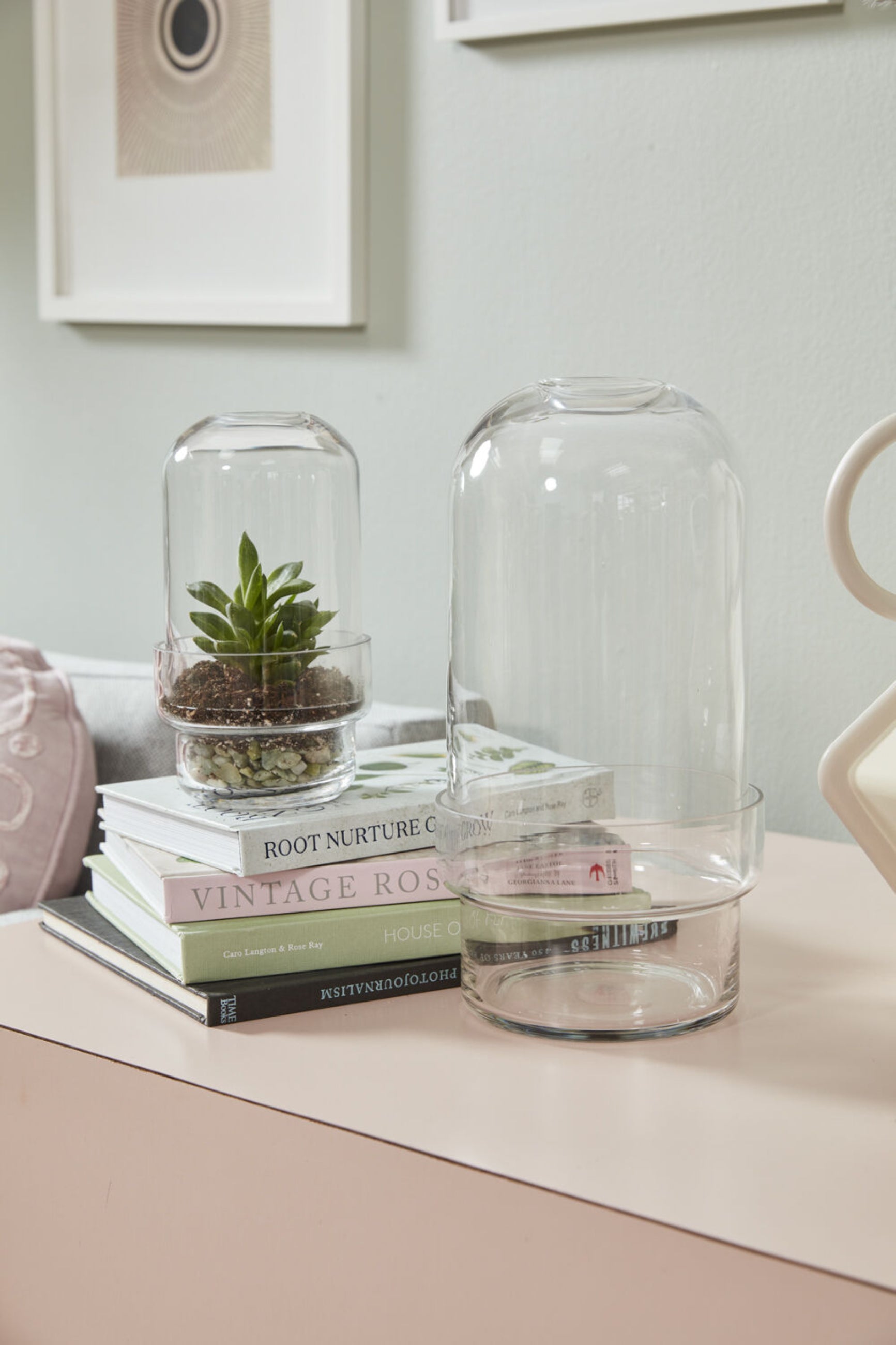 Two Griffith terrariums sitting on a side table with books and the smaller terrarium planted.