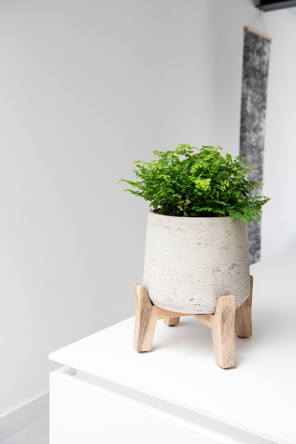 indoor plant pots with feet Planter Box Pottery Pots Color: Gray Washed Size: 13" H x 11" W x 11" D