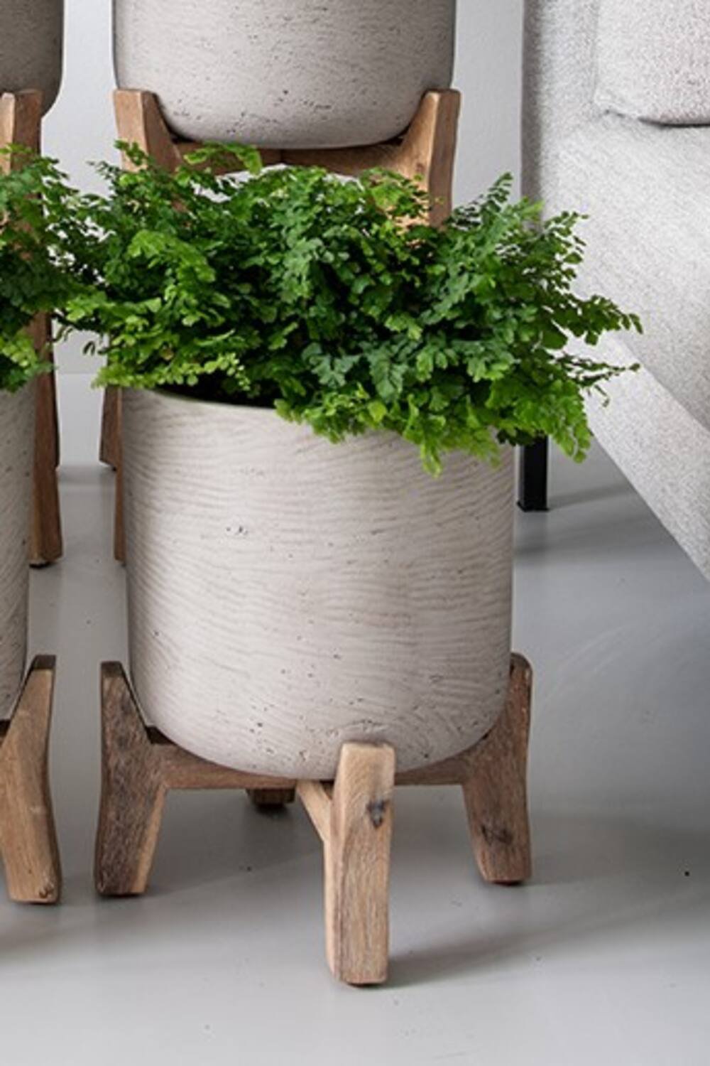 Charlie washed grey pot on wood stand by Pottery Pots with a fern placed inside.