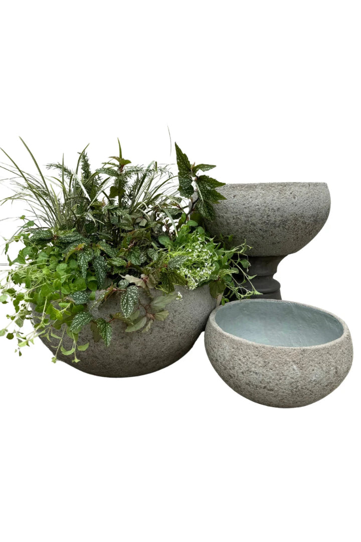 Greige Ficonstone planters with greenery on a white background ©Ficonstone