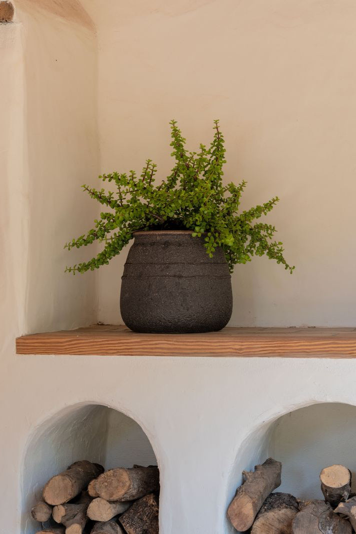 Decorative shelf with a plant in a Hestia pot, and stacked logs against a white wall. ©Pottery Pots