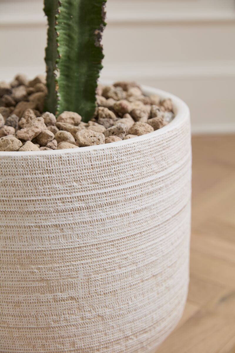 Potted plant with Ray textured pot on a wooden floor ©Accent Decor