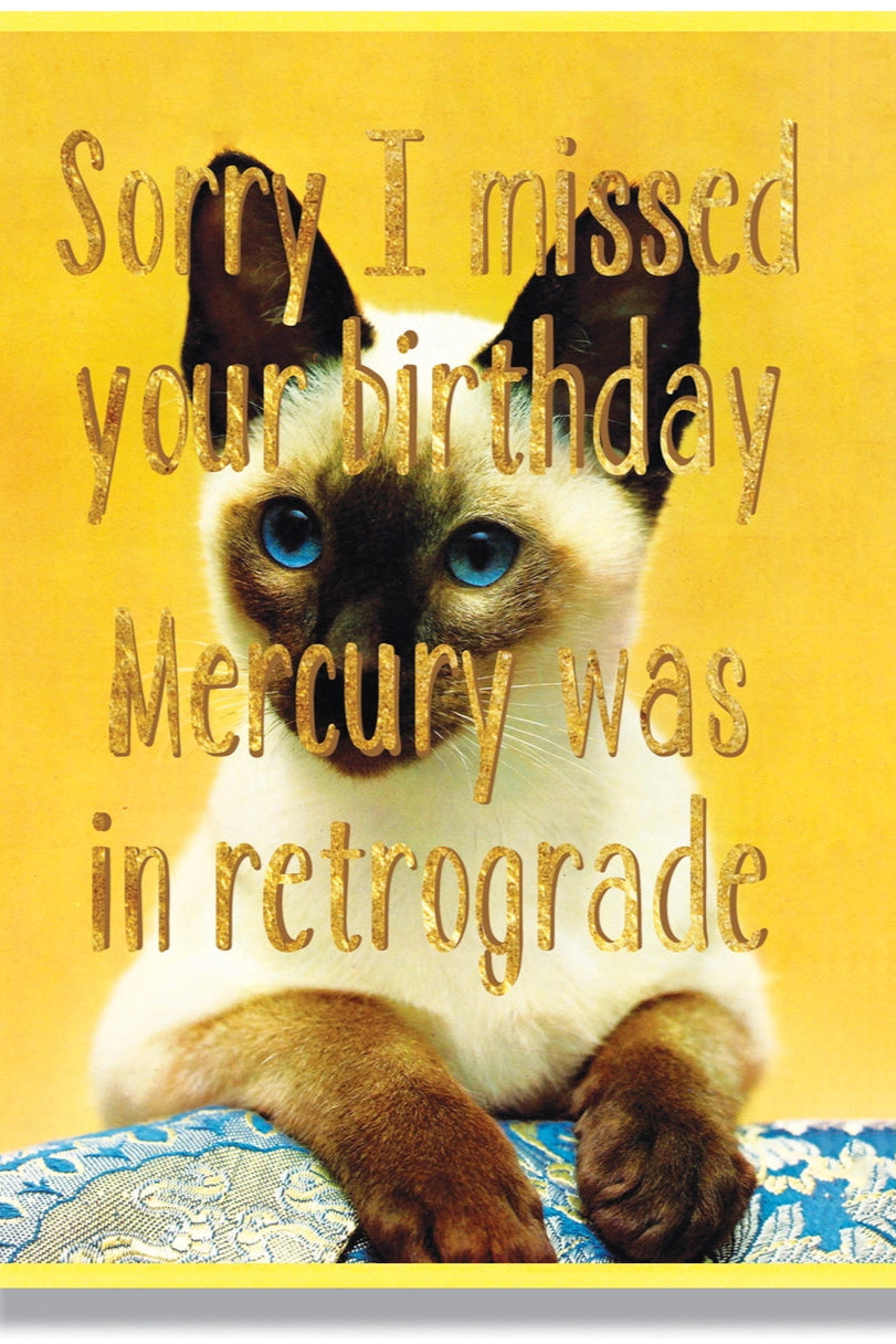 front of the "Sorry I Missed Your Birthday Card" with its siamese cat and gold lettering ©Smitten Kitten