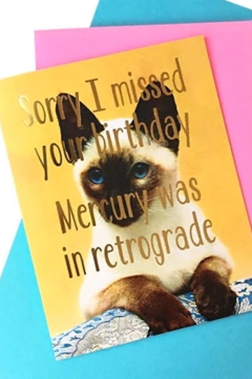 Greeting card with a cat and humorous text on a blue background "Sorry I Missed Your Birthday Card" ©Smitten Kitten