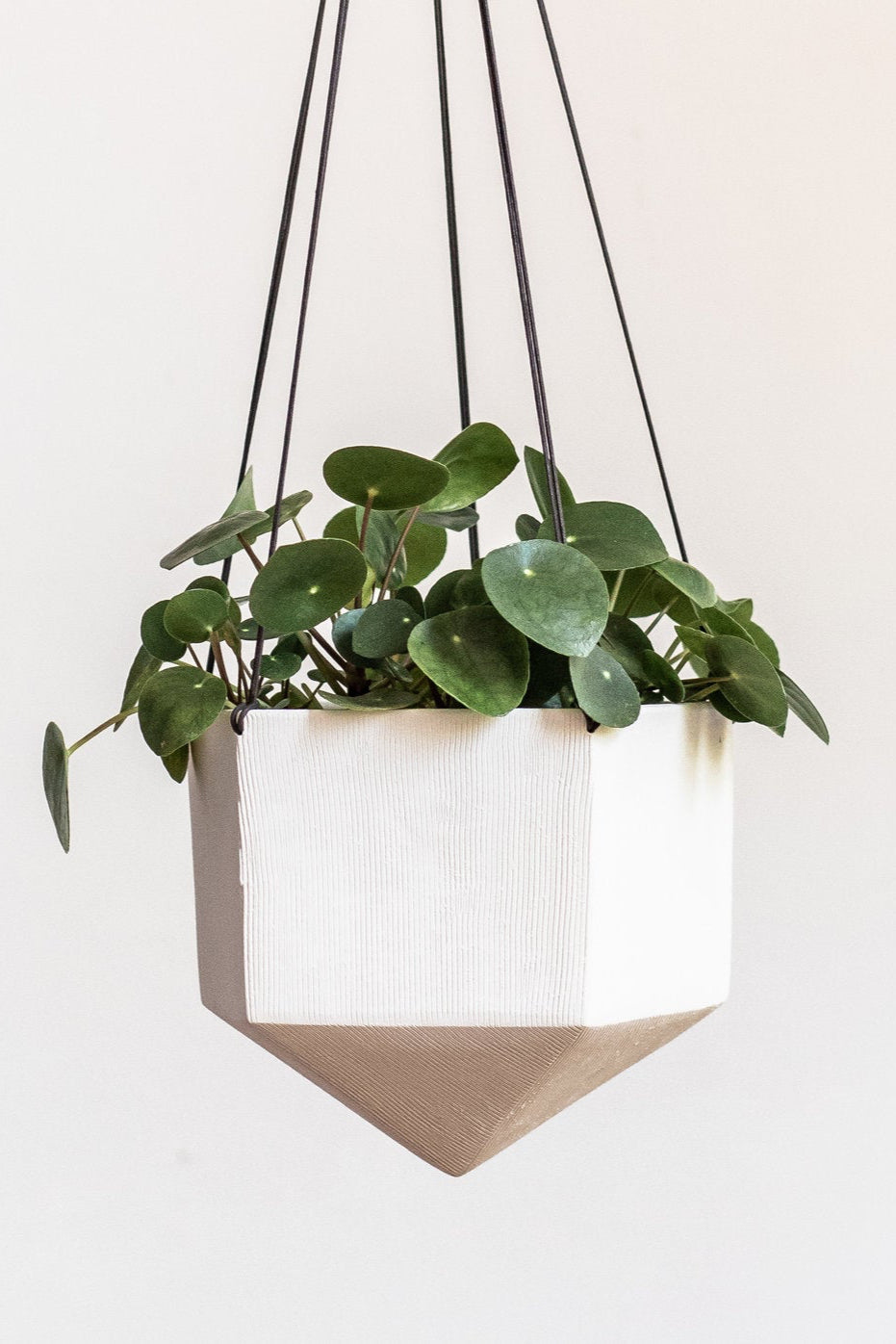 Linda Carved Lines Planter with a Pile inside by Tandem Ceramics