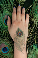 Tattly Peackock Feathers Tattoo on the top of a hand.