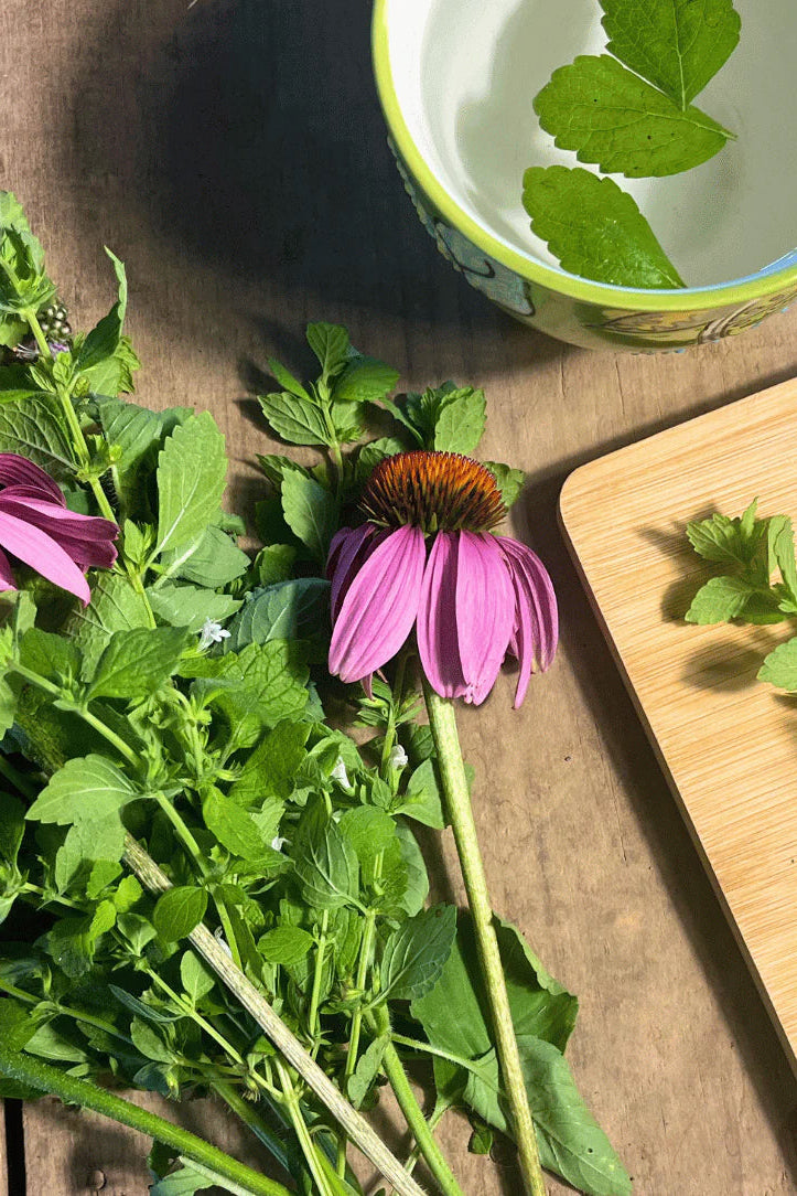 Purple flowers Echinacea and green leaves on a wooden surface with a bowl and cutting board. ©Hudson Valley Seed Co.
