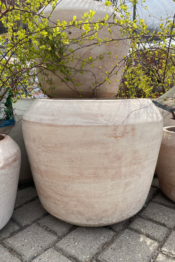 Cape Unglazed planter Large the the Sprout Home yard. 