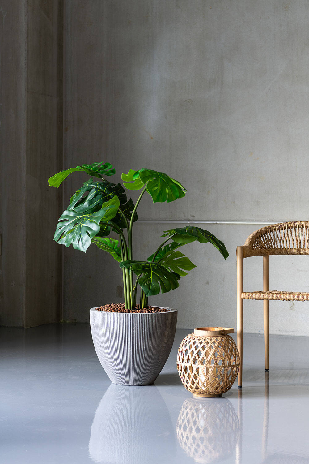 Pottery Pots Jessyline pot with vertical ridges with a Monstera plant inside in a grey room sitting on the floor next to a wicker chair.