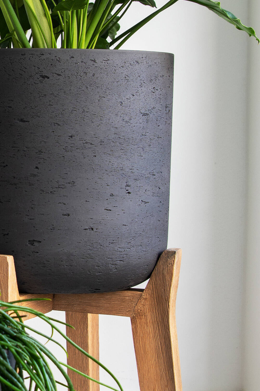Pottery Pots Charlie Pot and high stand black washed potted and showing a close up of the side of the pot with the finish.