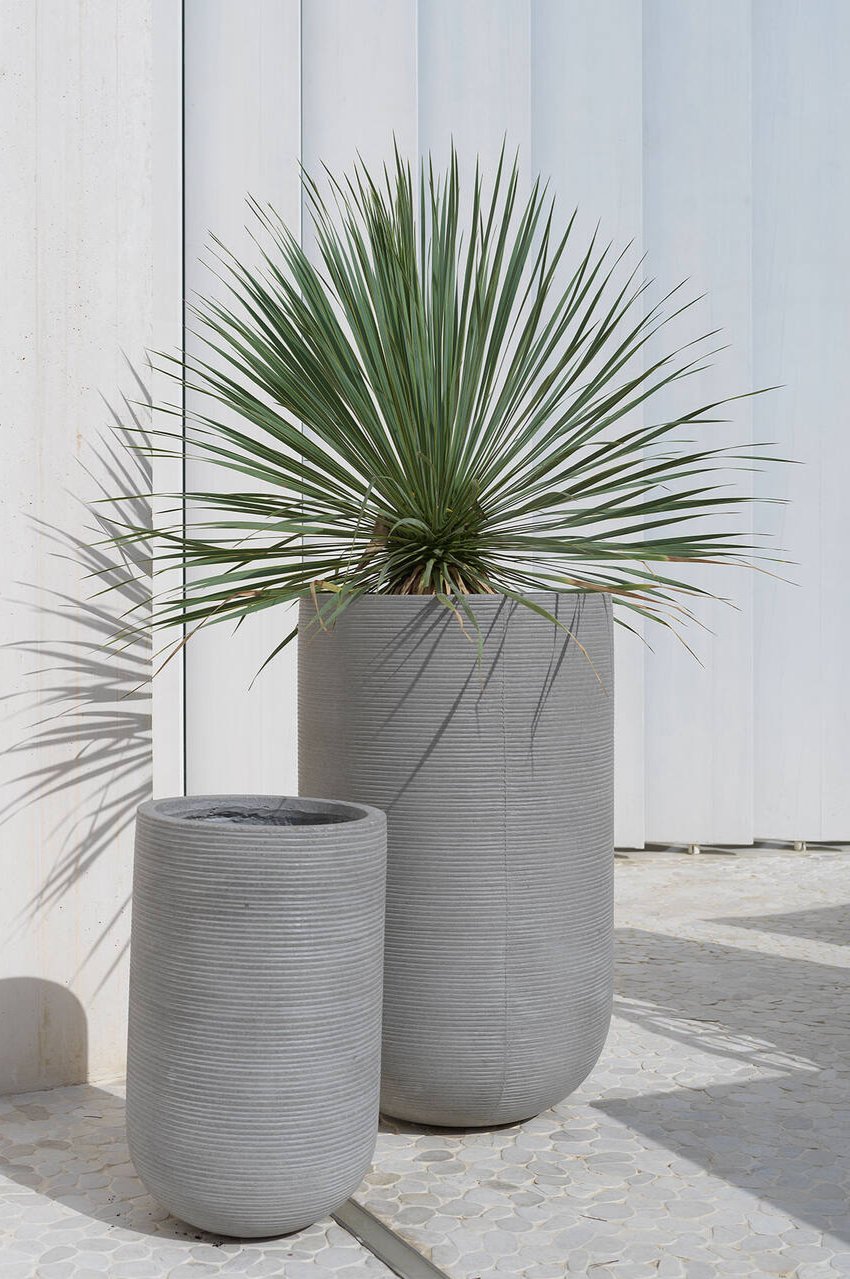 Pottery Pots Cody High Dark Grey Horizontal Ridged Pot with an aloe planted inside and a smaller Cody pot empty next to it.
