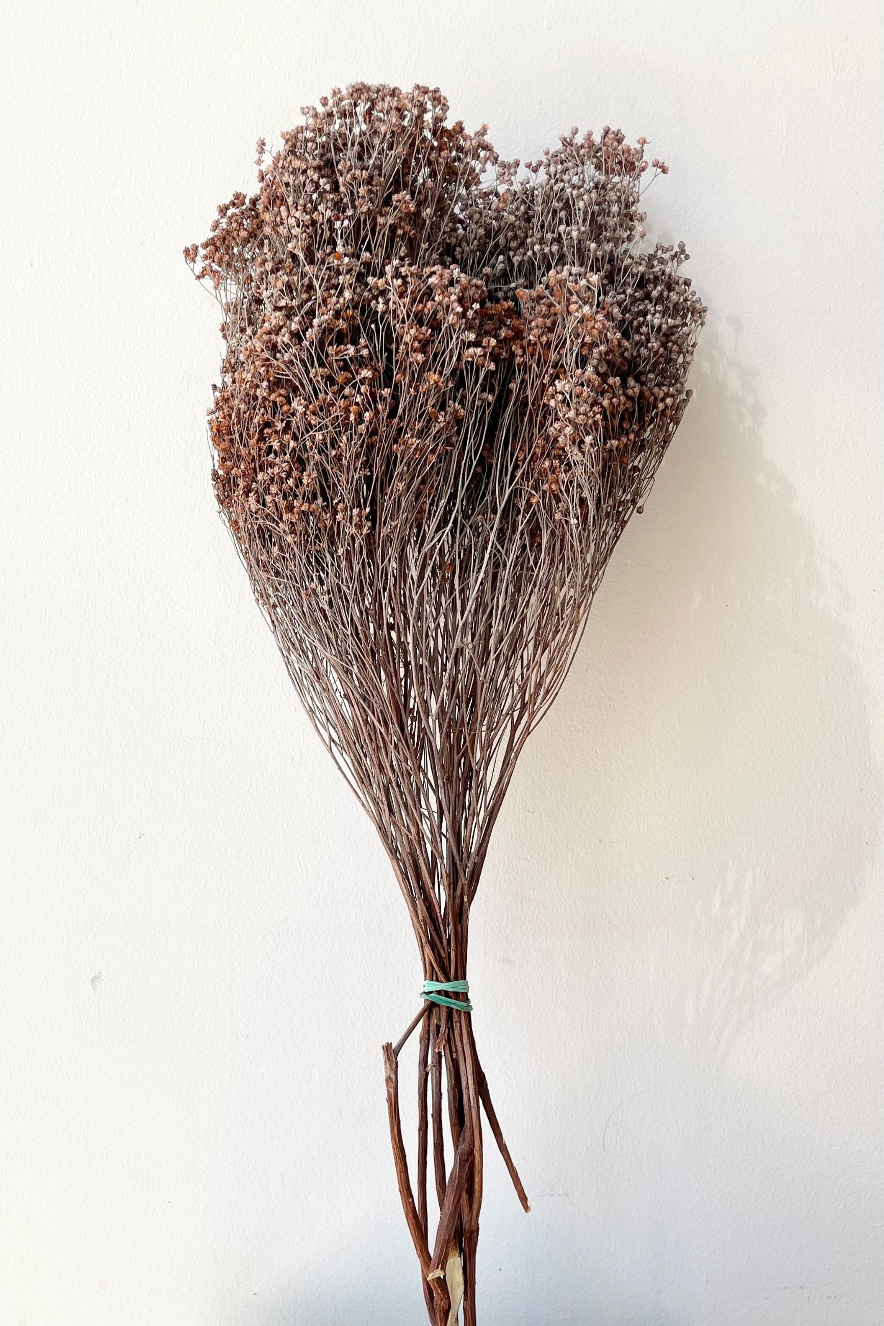 A bunch of preserved brooms in a dusty rust color. ©Sprout Home