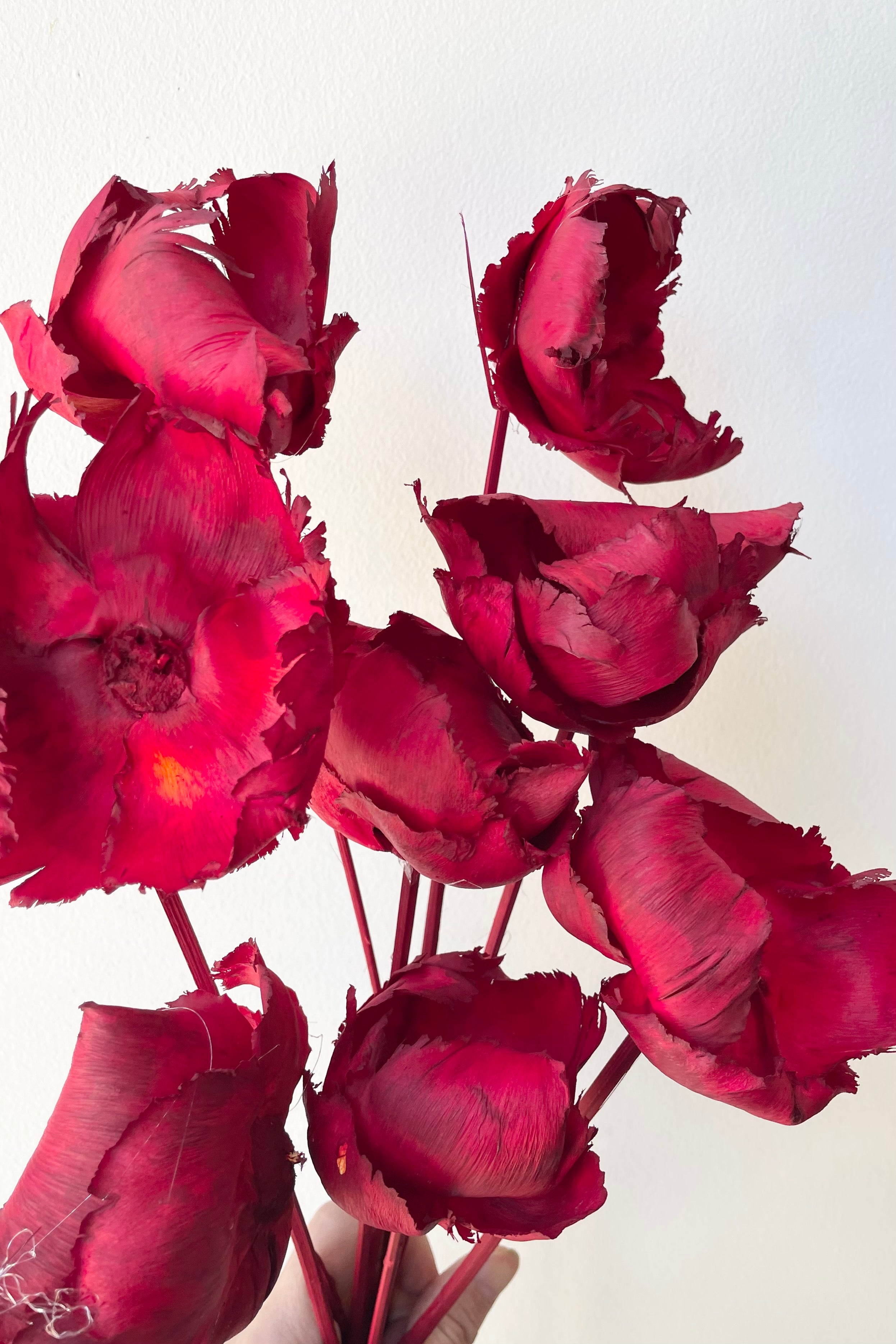 detail picture of the dyed red and preserved palm caps.