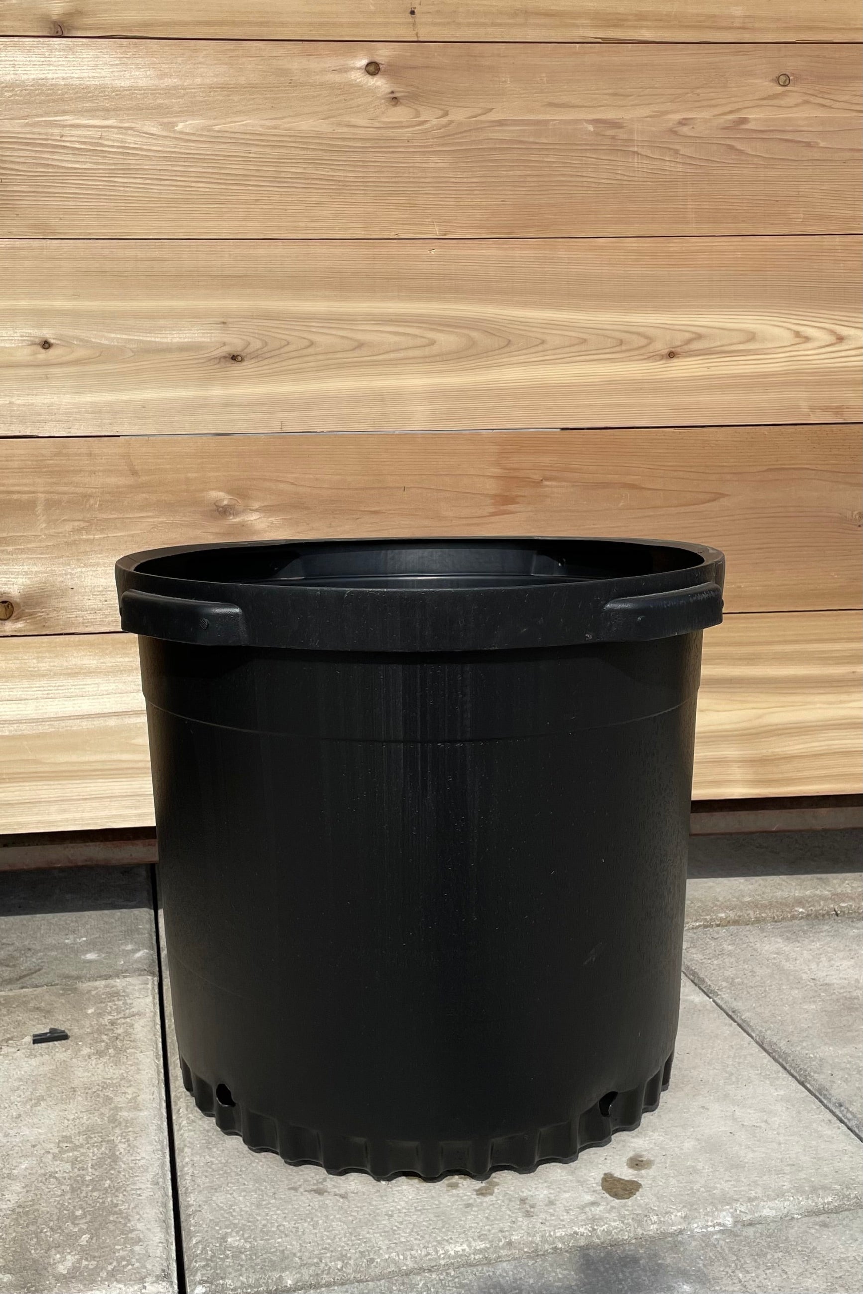An 18" black growers pot shown against a cedar wall. ©Sprout Home