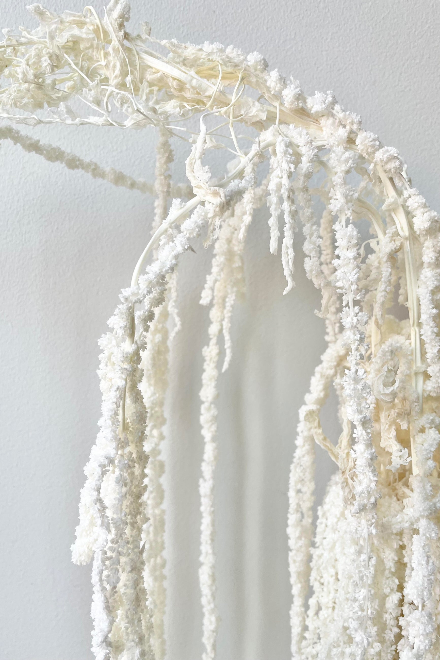 A detailed look at the Amaranthus Bleached Pastel Preserved Bunch ©Sprout Home