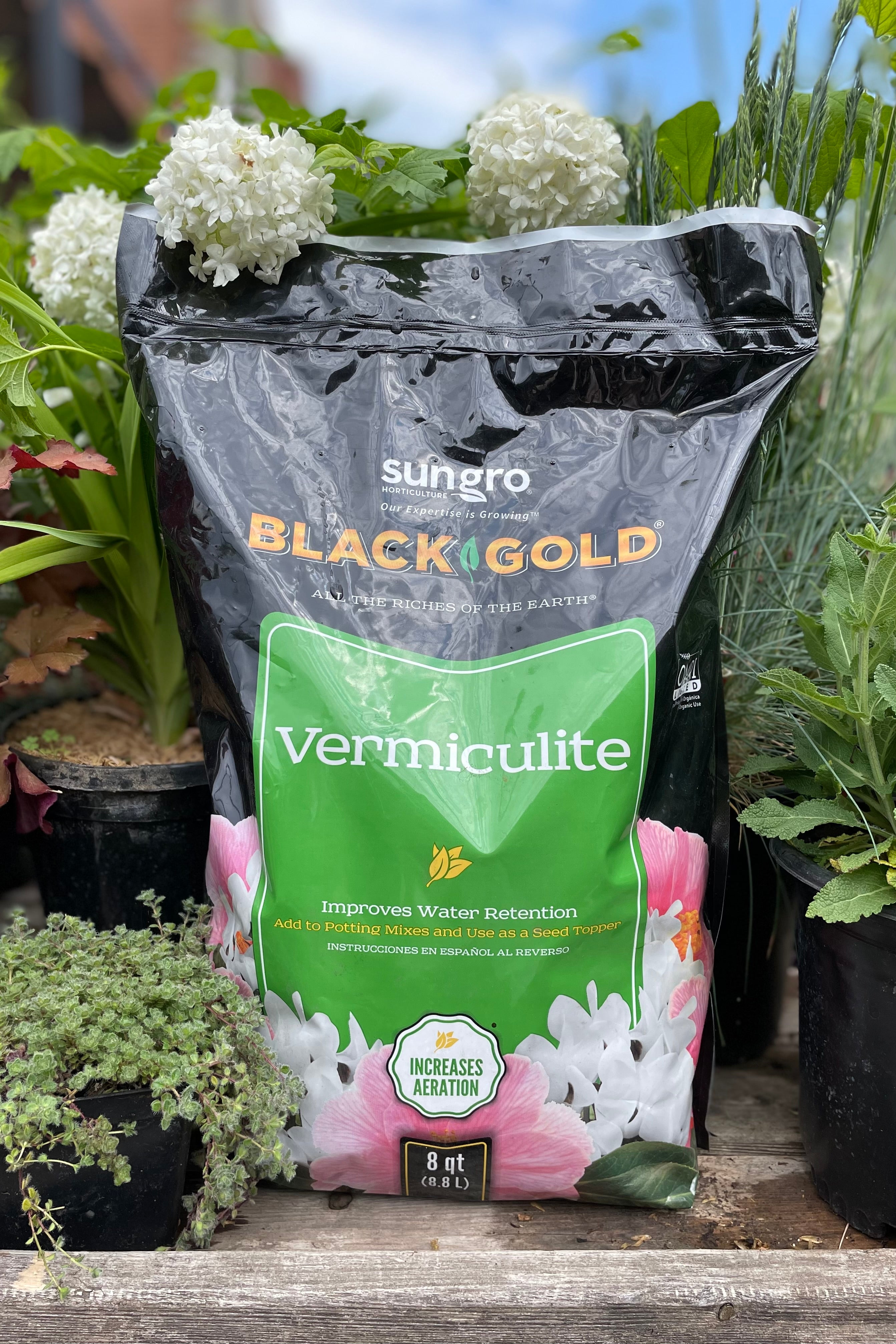 A bag of Black Gold vermiculite in an 8quart with plants and flowers surrounding with the garden in the background