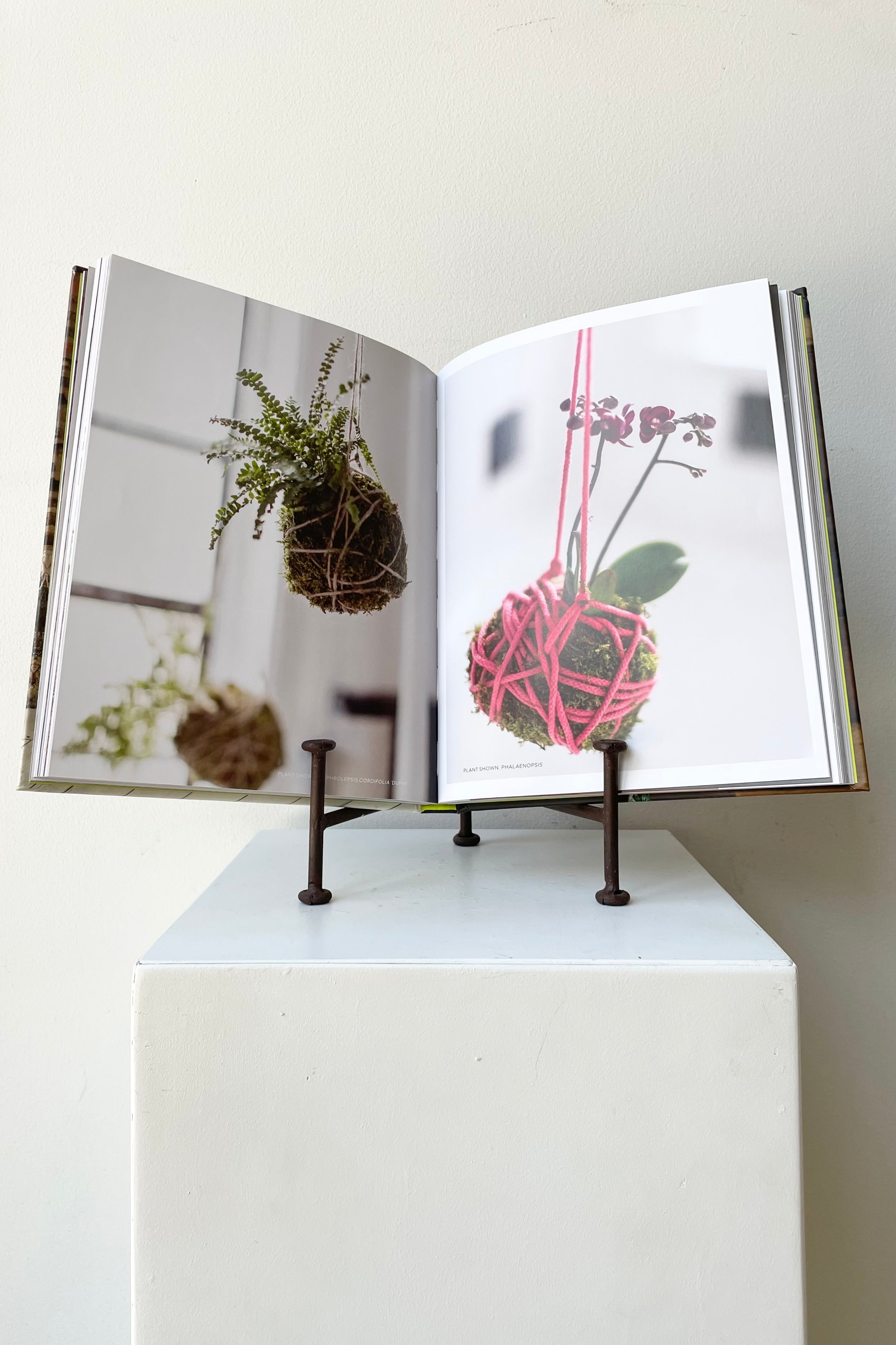 detail of The book "Rooted In Design" by Tara Heibel and Tassy de Give sits on a white surface in a white room.